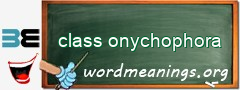 WordMeaning blackboard for class onychophora